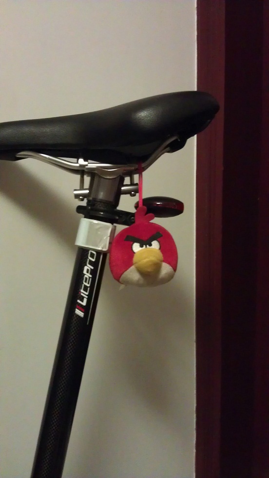 我的小雀子漂亮么~~