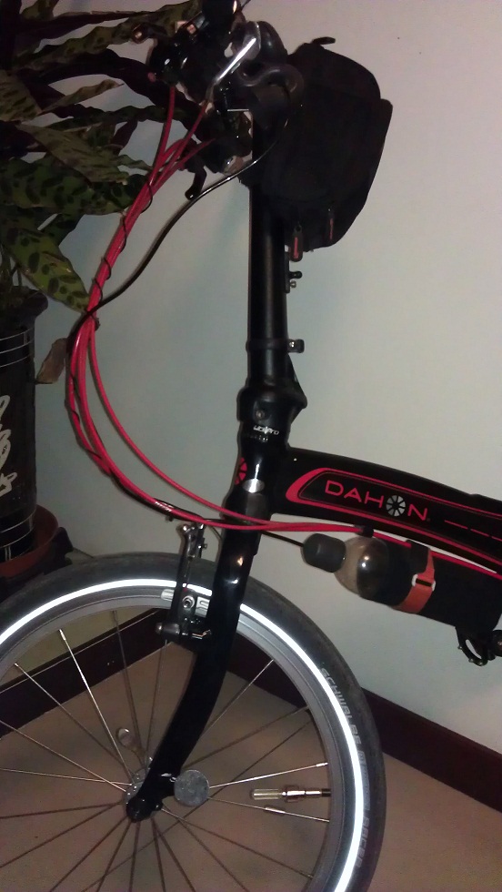 头管前叉手术后状态