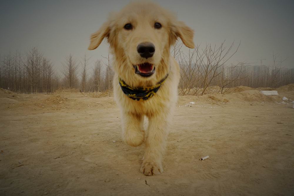 调整大小 P1050455.JPG