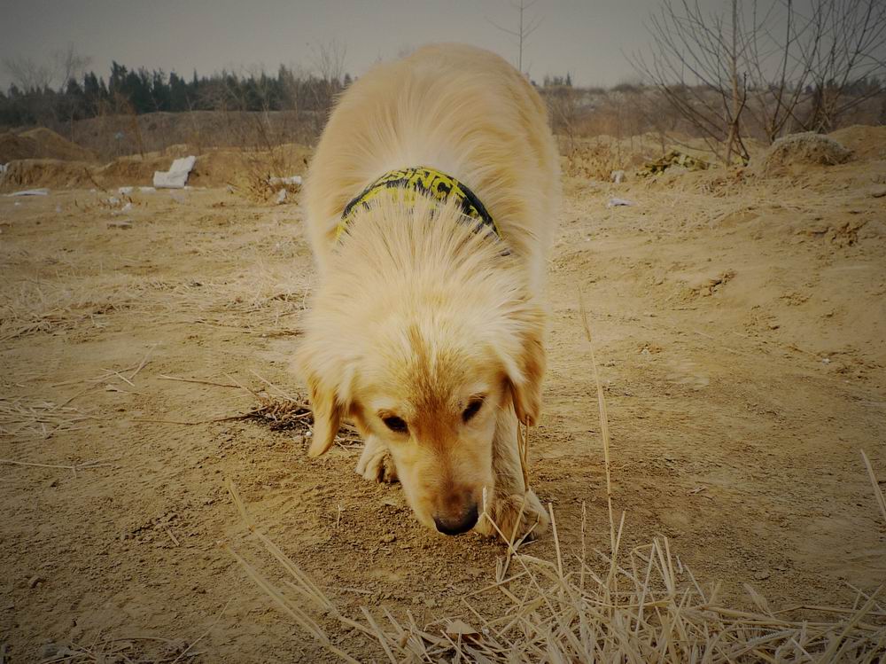 调整大小 P1050458.jpg