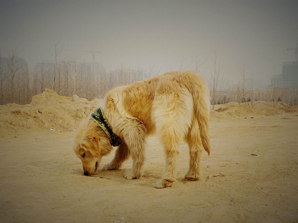 调整大小 P1050463.jpg