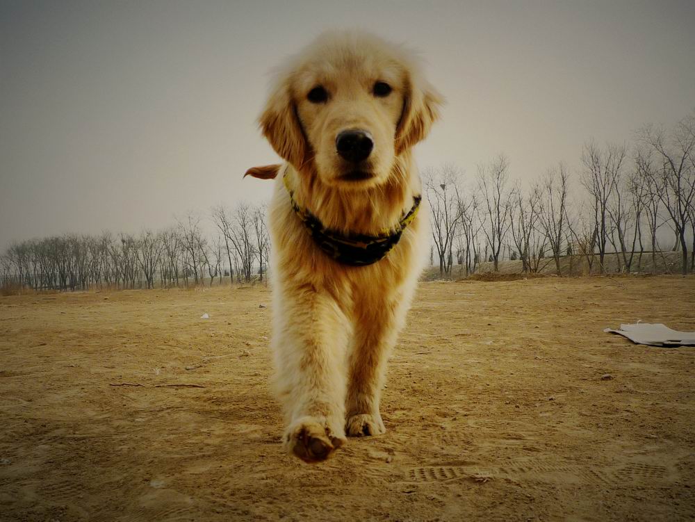 调整大小 P1050465.jpg