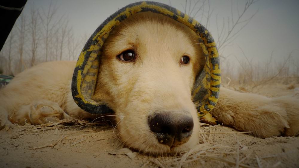 调整大小 P1050546.JPG