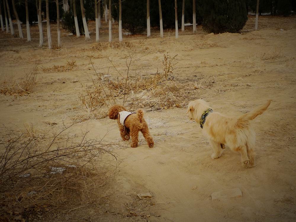 调整大小 P1050555.jpg