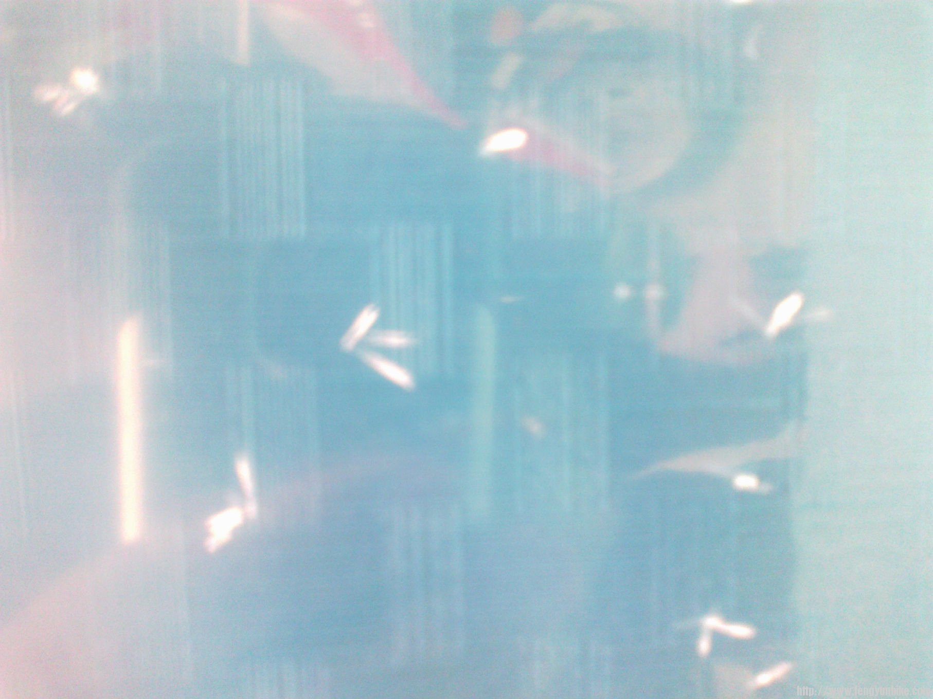 这是车上的小冰渣，都立着了！