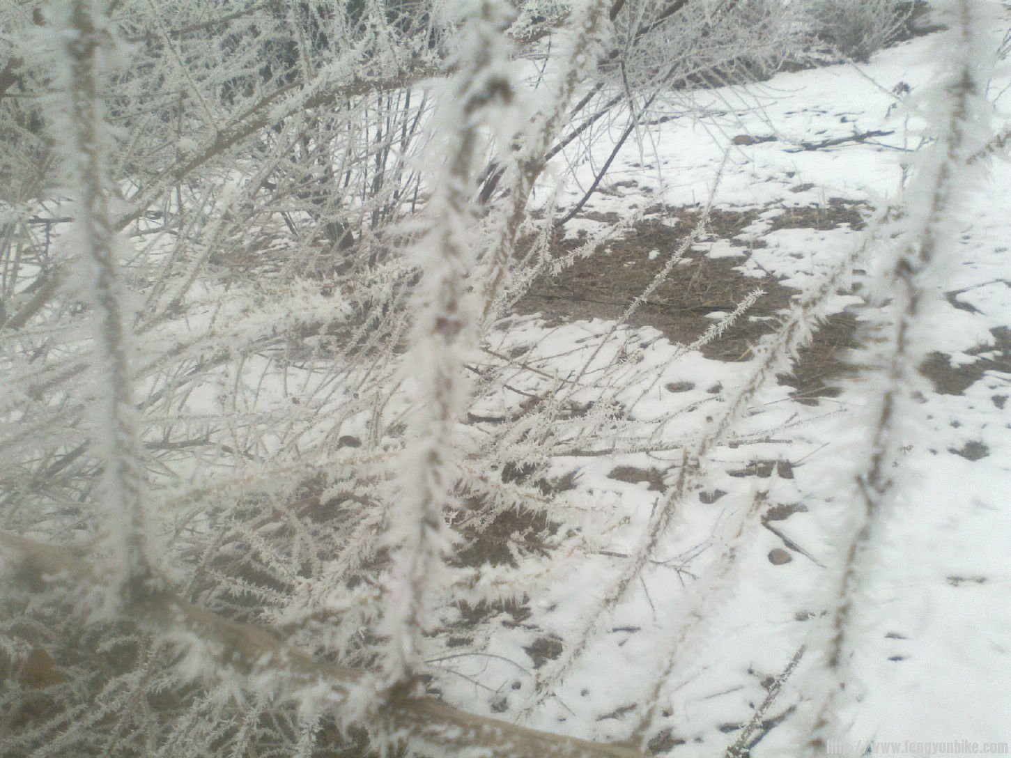 照晚了，手机没有相机照的好看