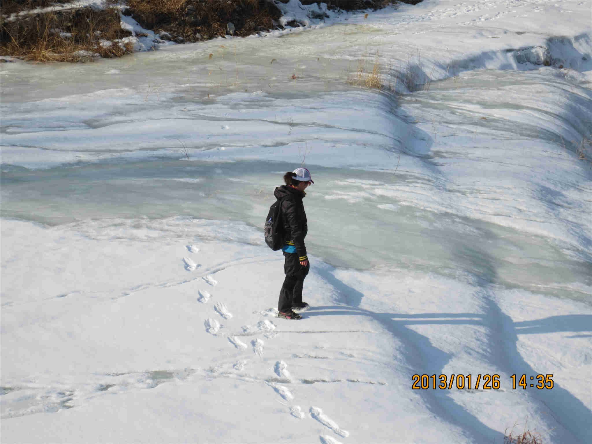 20130126_309.jpg