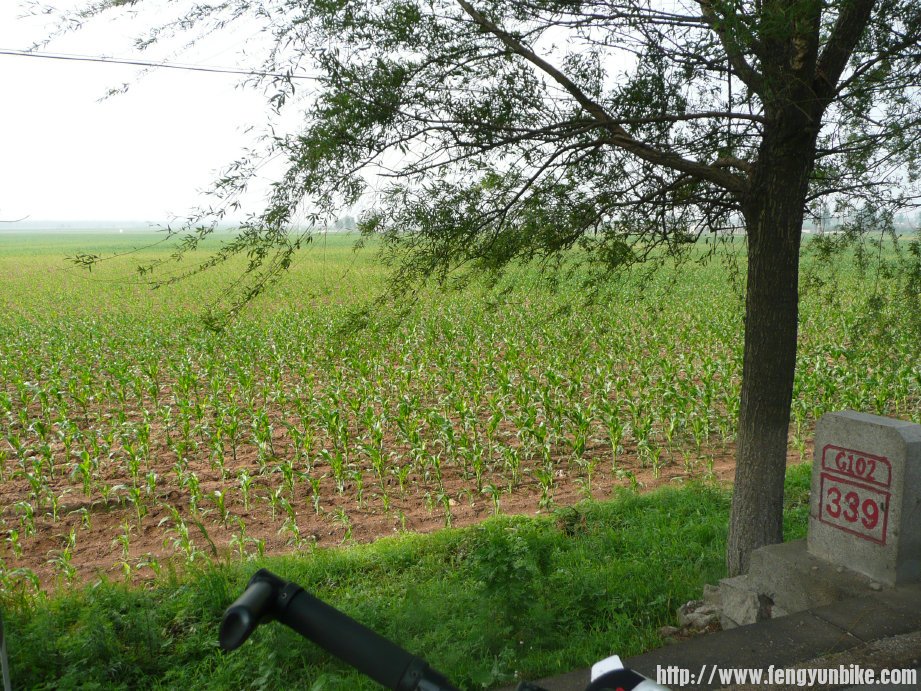 关外的是冷庄稼刚这么高。在蓟县时已经比这儿的高了。