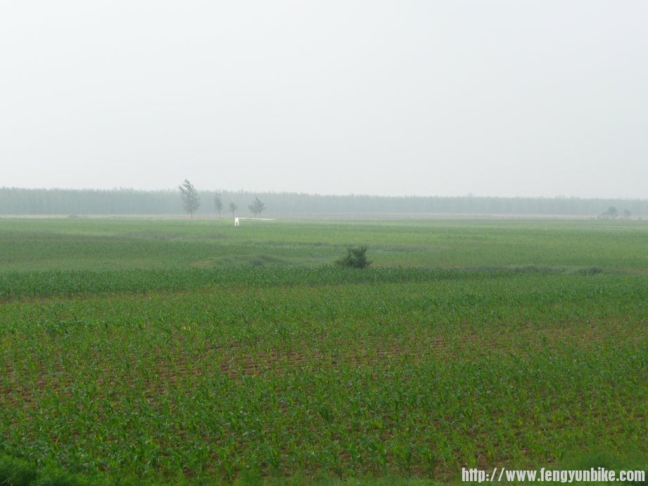 出关就不一样!看和关里的就不一样。这里的气温开始显得比关里低了。
