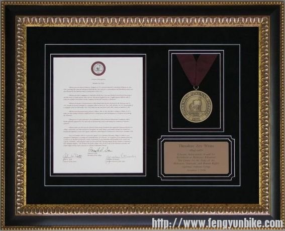 framed-award[1].jpg