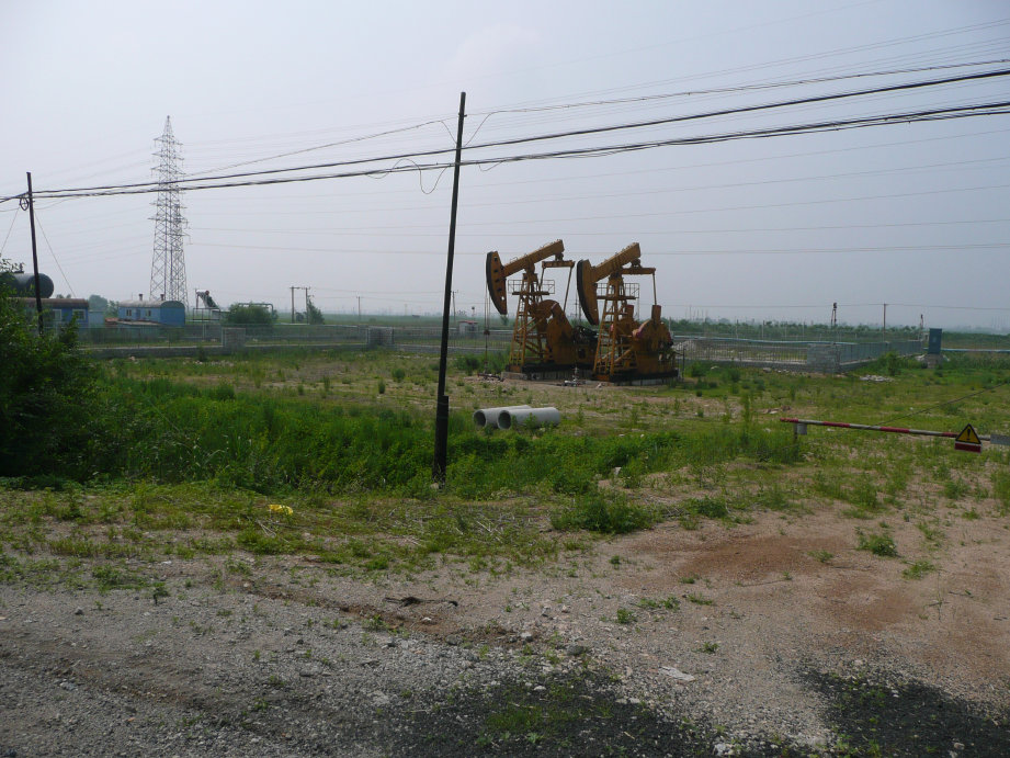 开始进入辽河油田。