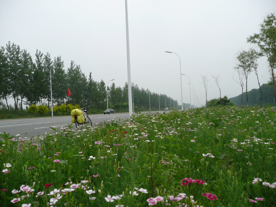 车车也留个影。