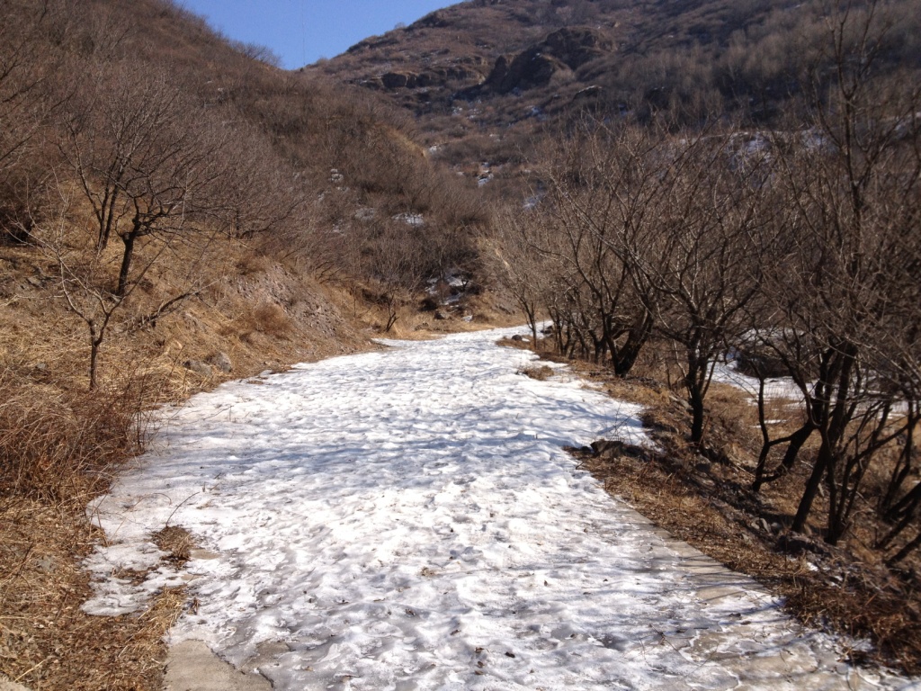 2013第一妙 040.jpg