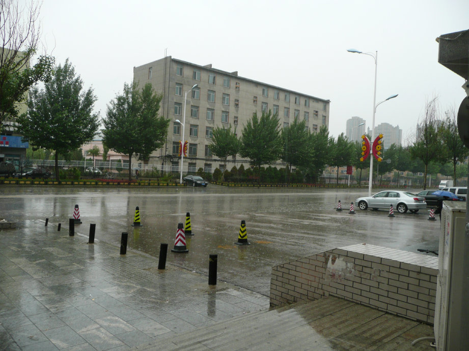 下了一夜的雨，白天还在下。