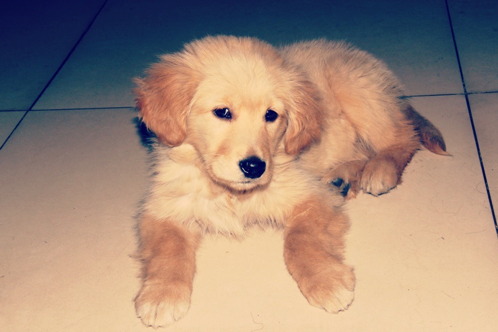 哼 再也不搭理你了