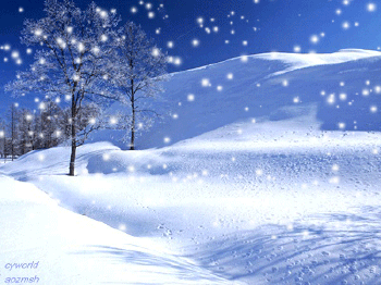 u=3416016004,2588320793&fm=11&gp=0.gif