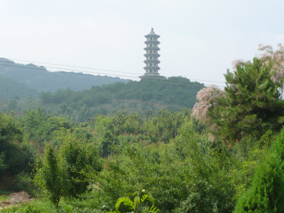 爬到小山顶能见一古塔。