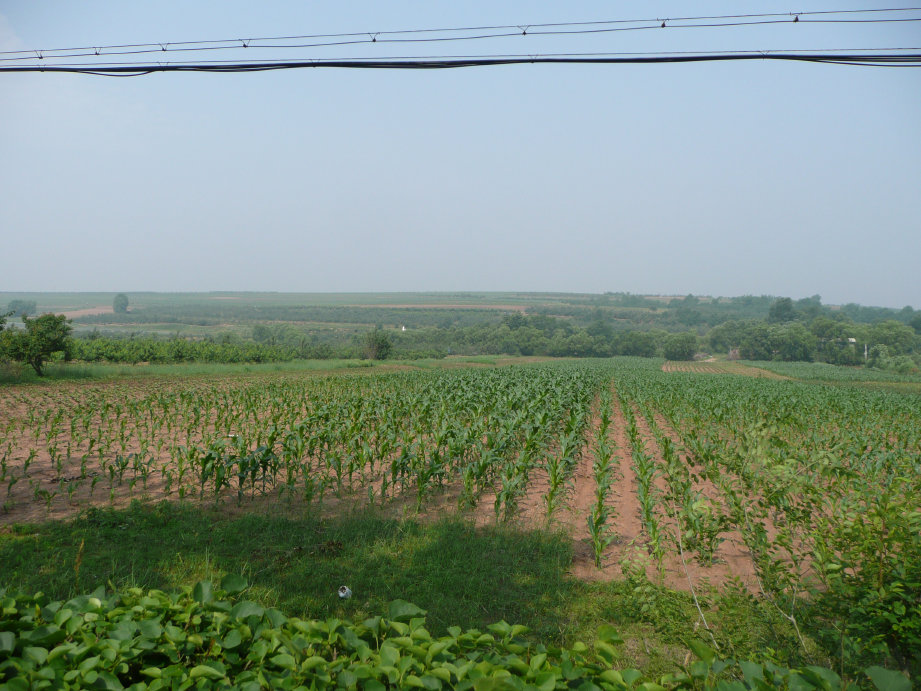 刚下完雨的地方，还是缺水。