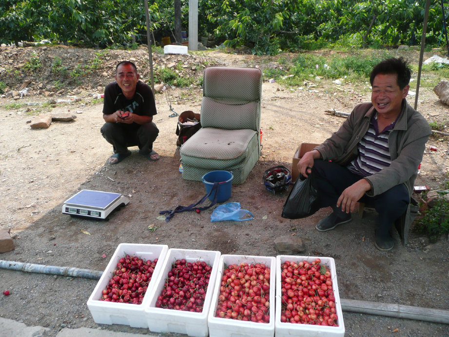 里边卖鲜樱桃的。