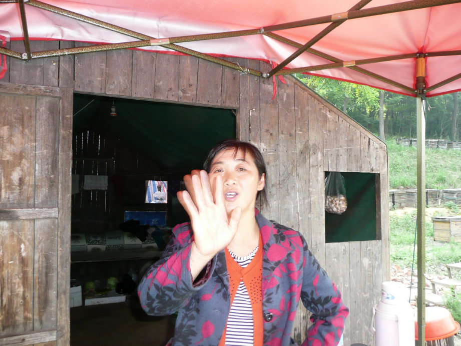 放蜂人和俺招手再见。