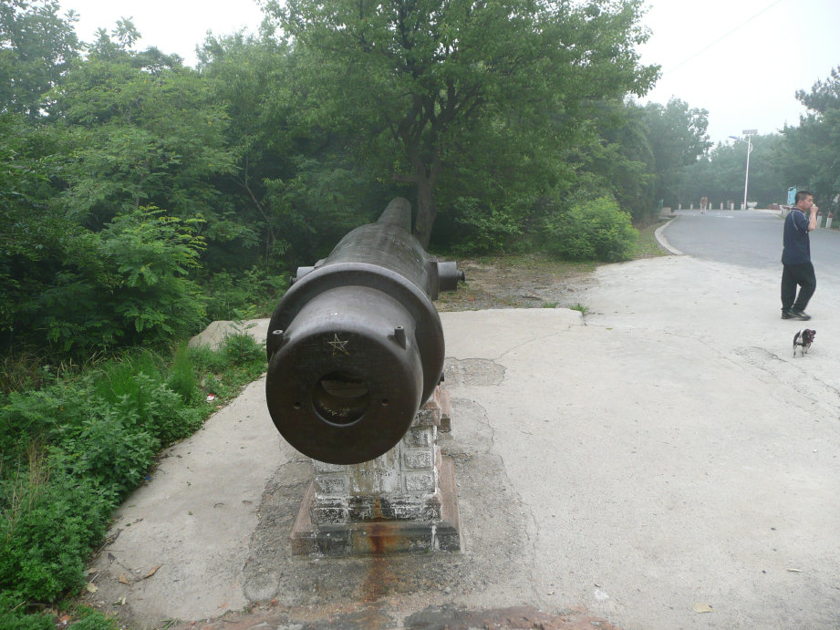 大清国时的大炮，上面被刻了很多的外文。