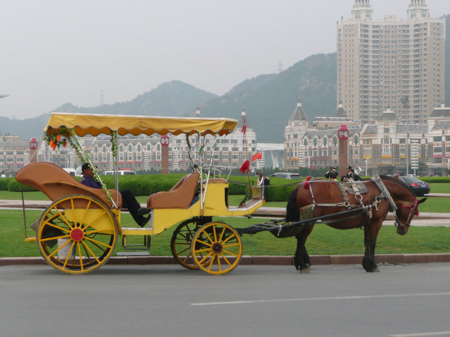 拉游客的马车。