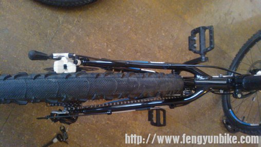 蝮蛇胎的磨损情况