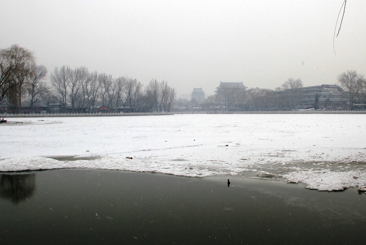 2013_02_25_08233.JPG