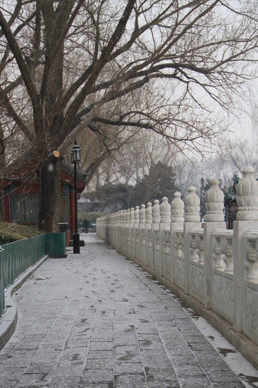 2013_02_25_08241.JPG