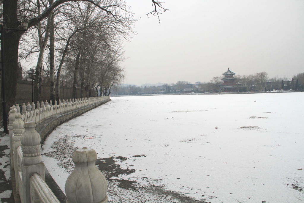 2013_02_25_08274.JPG
