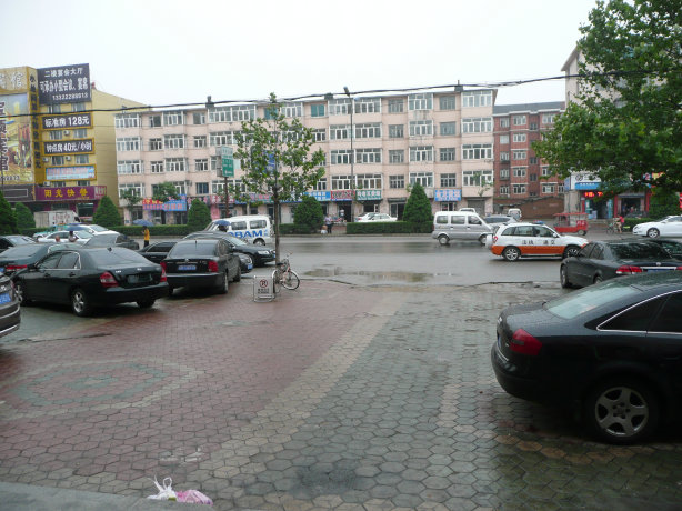 下了一夜的雨。