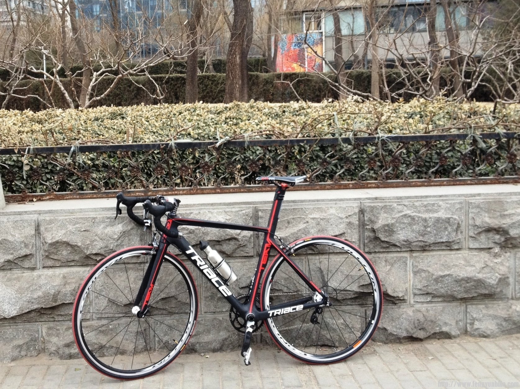 2013第一妙 005.jpg