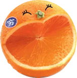 桔子笑.gif