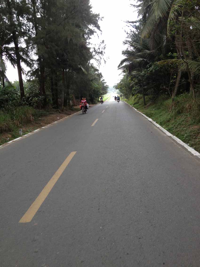 去往东郊椰林的路