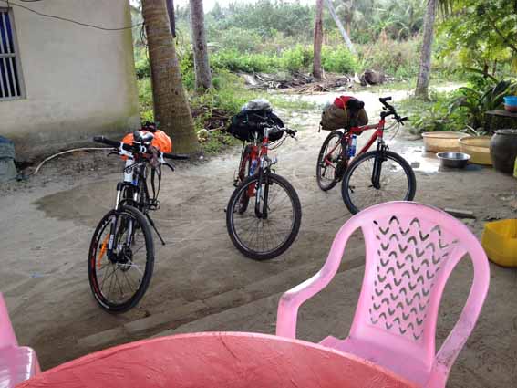 绿道服务区的农家菜