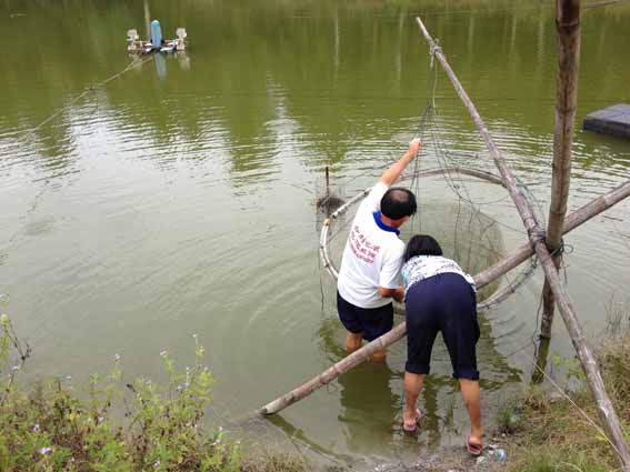 大爷给我们捞鱼