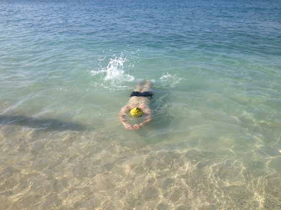 我是条鱼儿，自由自在的游啊游