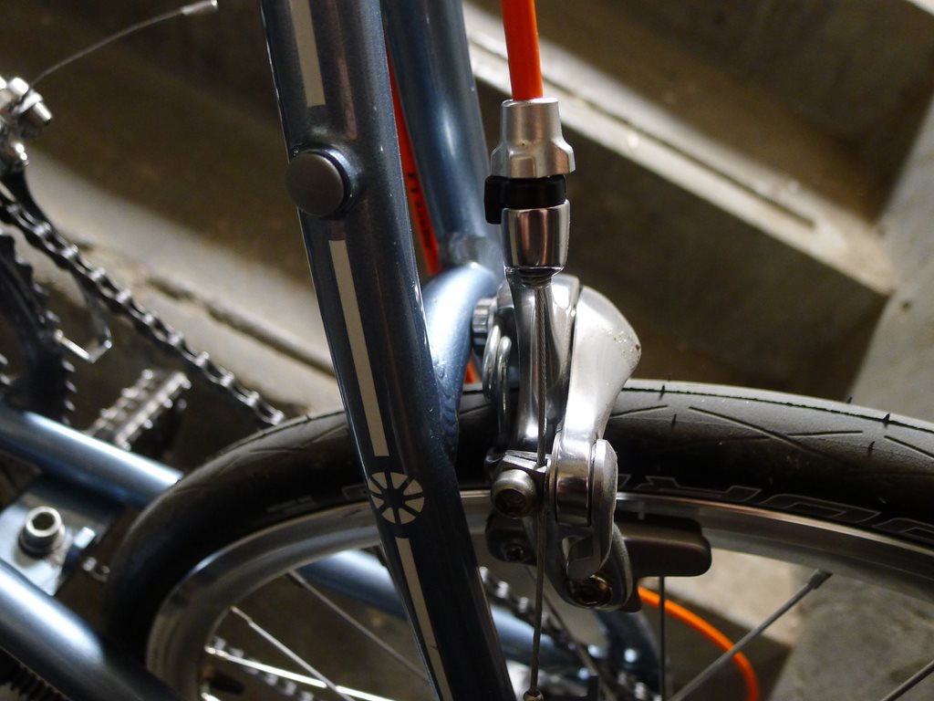 P1090953 (复制).JPG