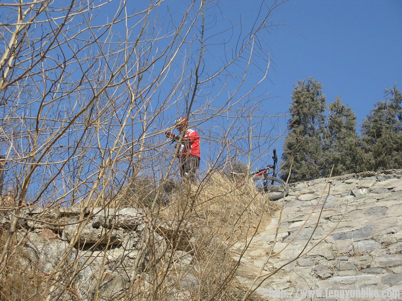 准备冲锋的鸟叔