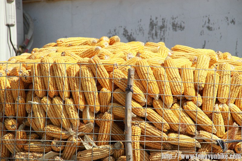 照片 262_副本.jpg