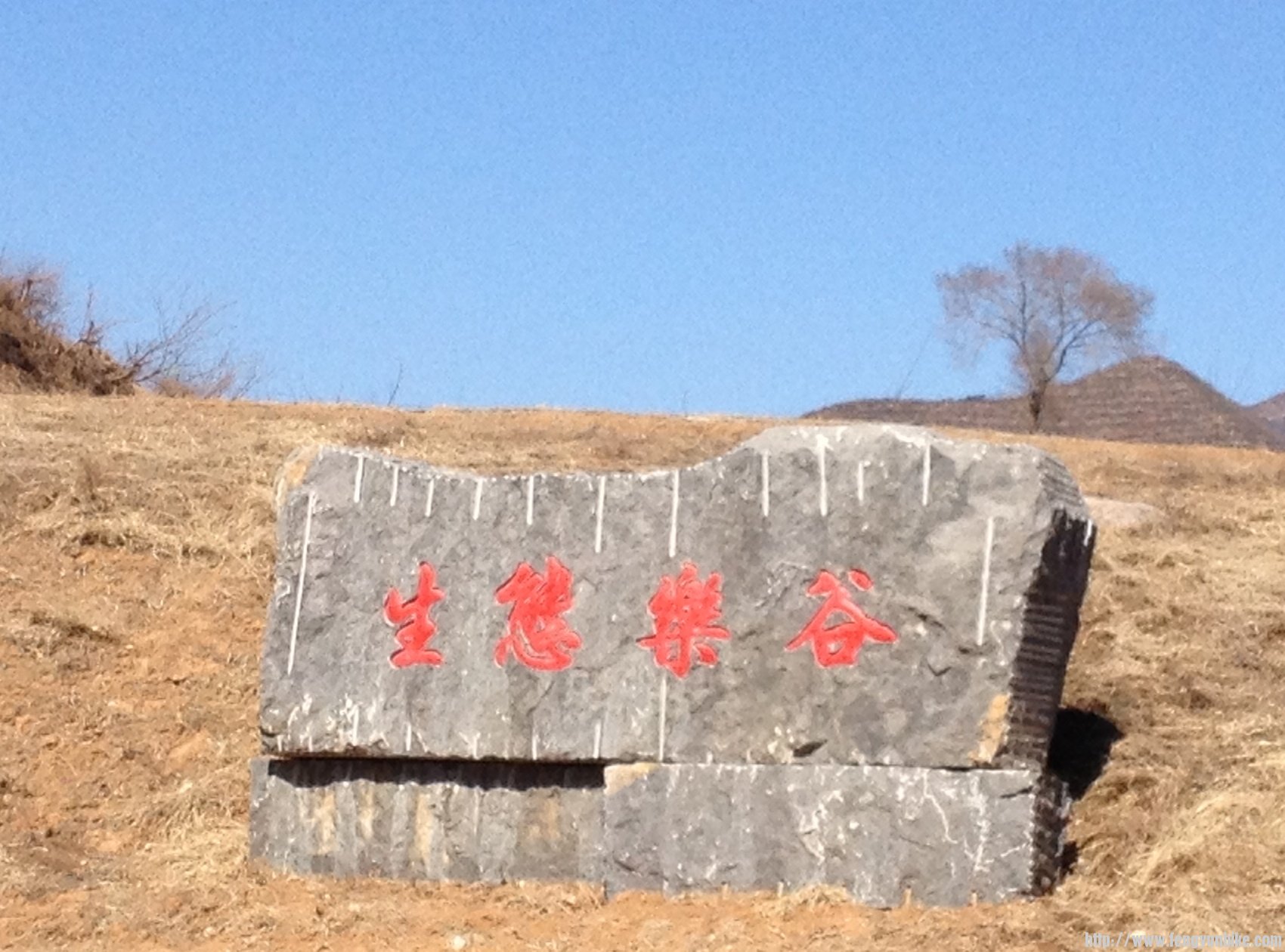 绕圈130310 040.jpg