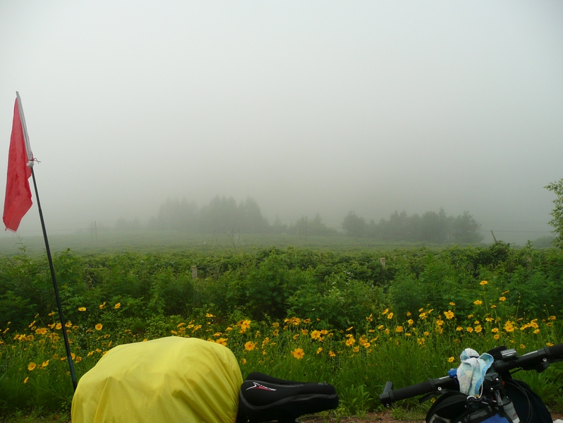 山中的雾笼罩群山。挡住视线。