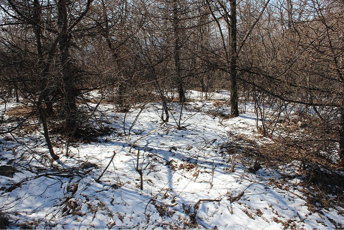 可能是今春的最后一次积雪了