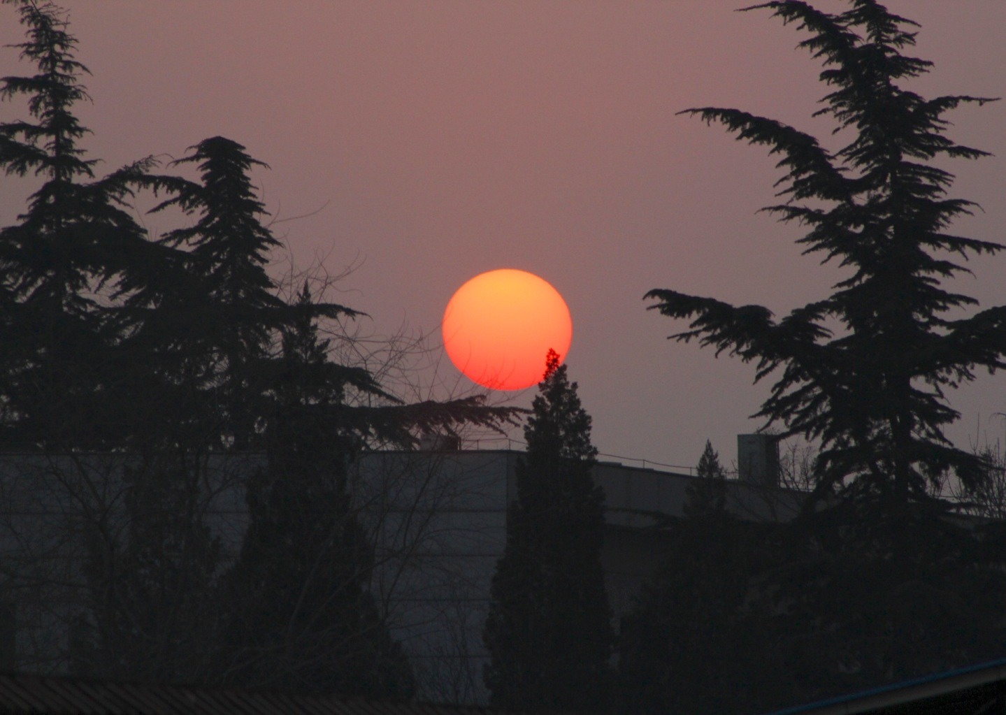 日落请大家欣赏