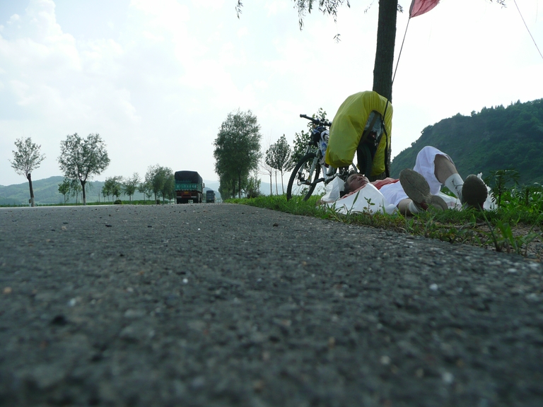 太热和累了，好不容易看到一颗小树，趟下就睡着了。