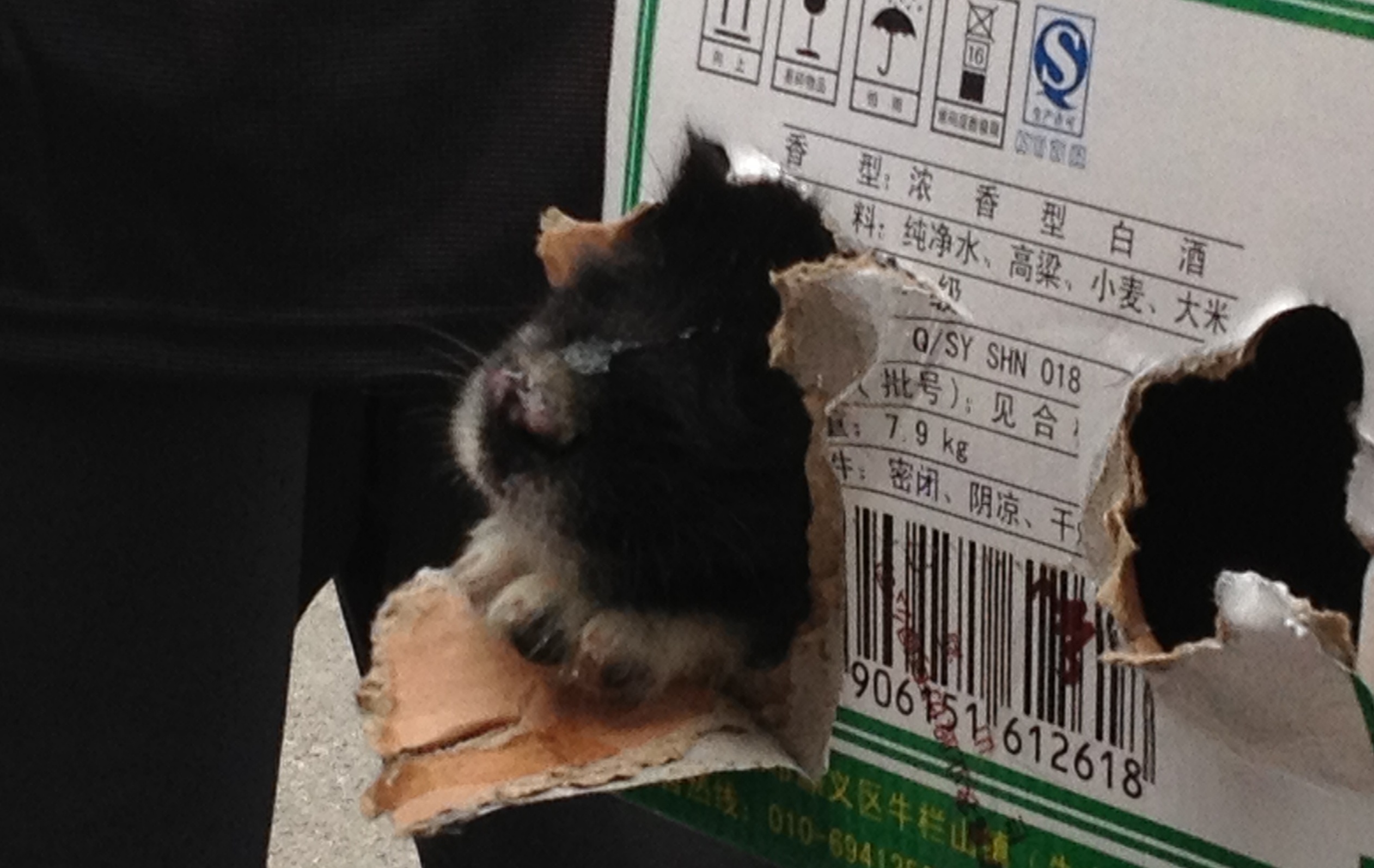 百里画廊 022.jpg