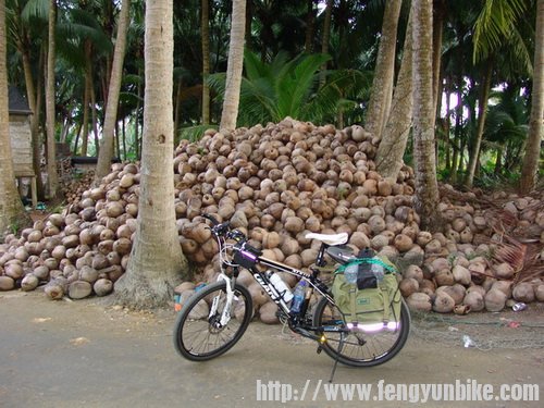 全是椰子壳，记得魔兽某个副本中也有这样的场景，还站上面跳舞，哈哈。