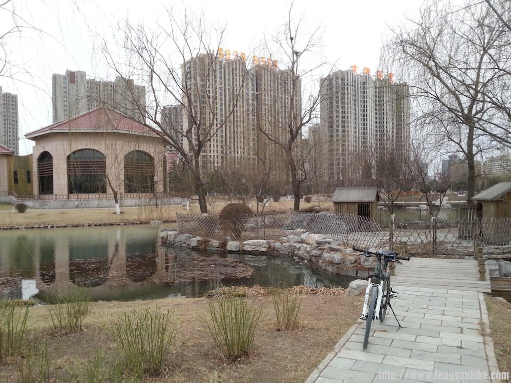 20130318_173820.jpg