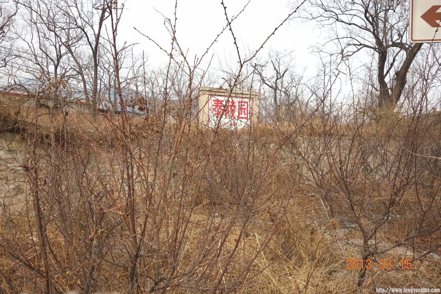 DSC06091 (2600x1733)_副本 (1800x1200).jpg