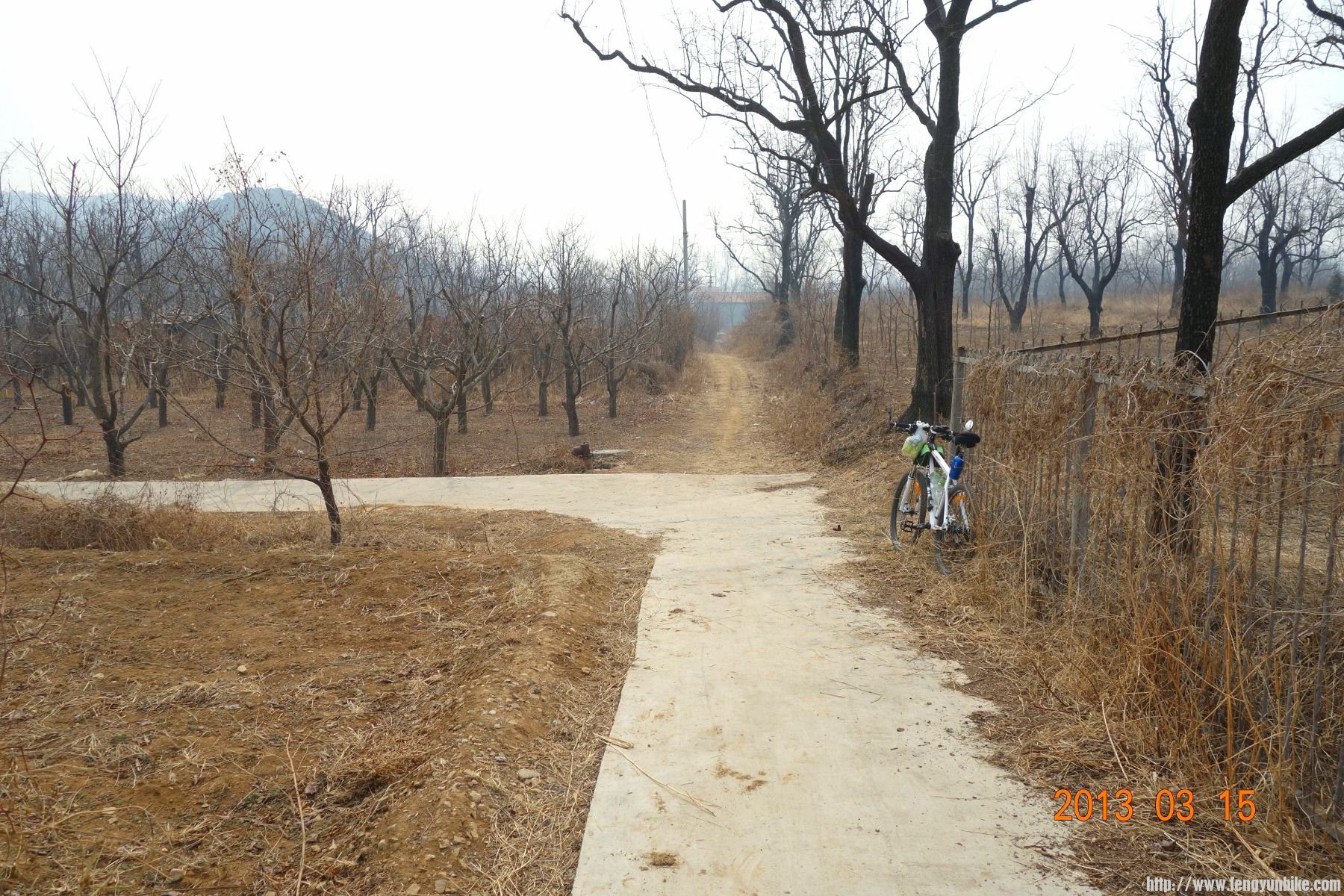 DSC06120 (2600x1733)_副本 (1800x1200).jpg